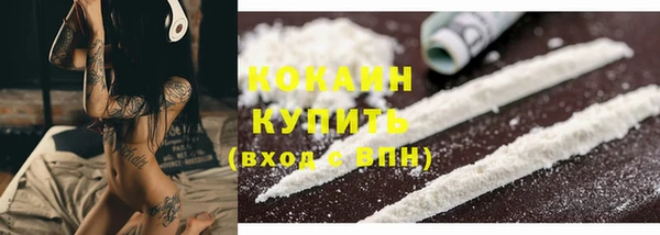 спайс Богданович